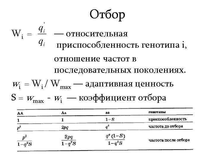 Отбор Wi = — относительная приспособленность генотипа i, отношение частот в последовательных поколениях. wi