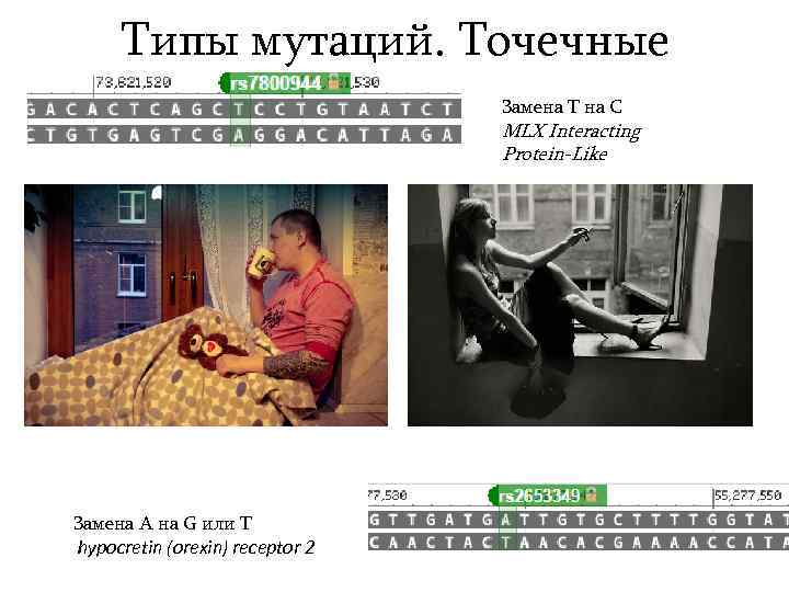 Типы мутаций. Точечные Замена T на C MLX Interacting Protein-Like Замена A на G