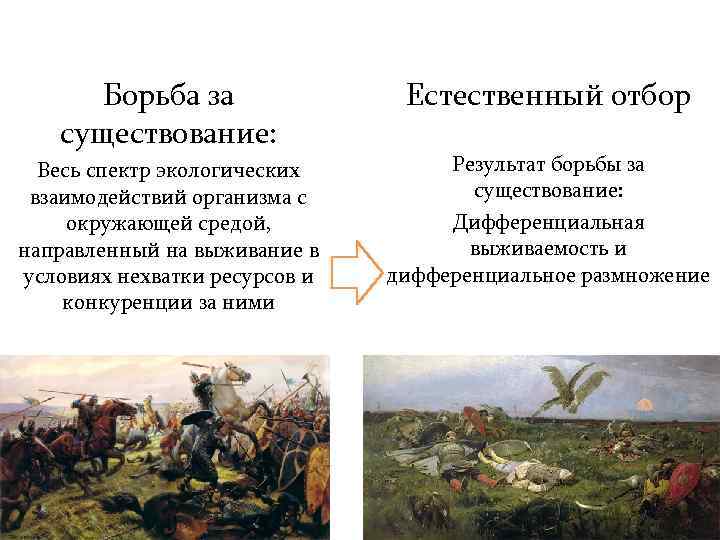 Борьба за существование: Весь спектр экологических взаимодействий организма с окружающей средой, направленный на выживание