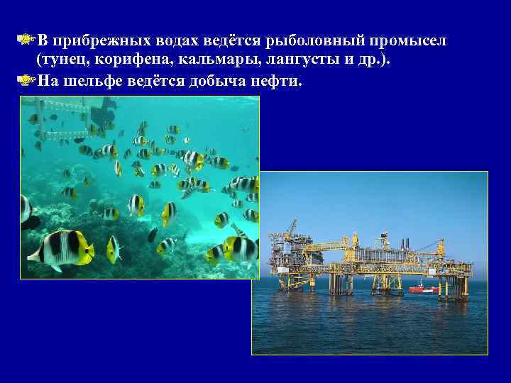 В прибрежных водах ведётся рыболовный промысел (тунец, корифена, кальмары, лангусты и др. ). На