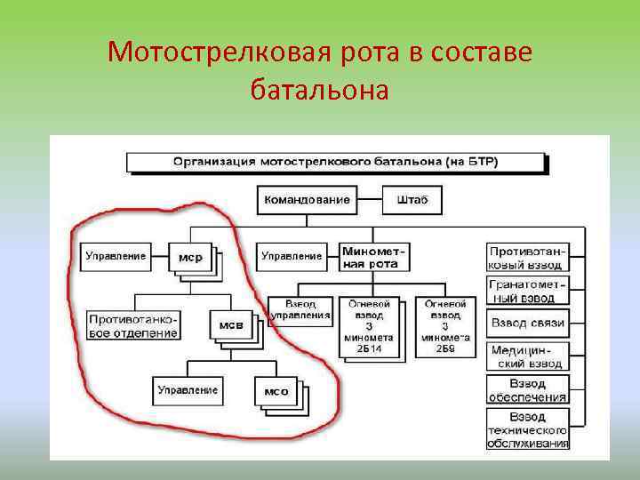 Мотострелковая рота в составе батальона 