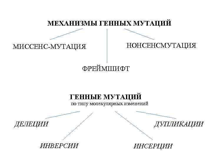 МЕХАНИЗМЫ ГЕННЫХ МУТАЦИЙ МИССЕНС МУТАЦИЯ НОНСЕНСМУТАЦИЯ ФРЕЙМШИФТ ГЕННЫЕ МУТАЦИЙ по типу молекулярных изменений ДЕЛЕЦИИ