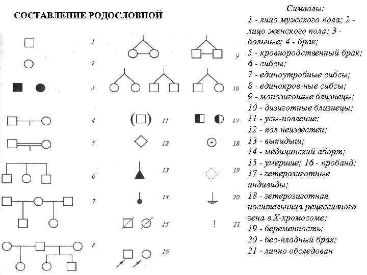 СОСТАВЛЕНИЕ РОДОСЛОВНОЙ Символы: 1 лицо мужского пола; 2 лицо женского пола; 3 больные; 4