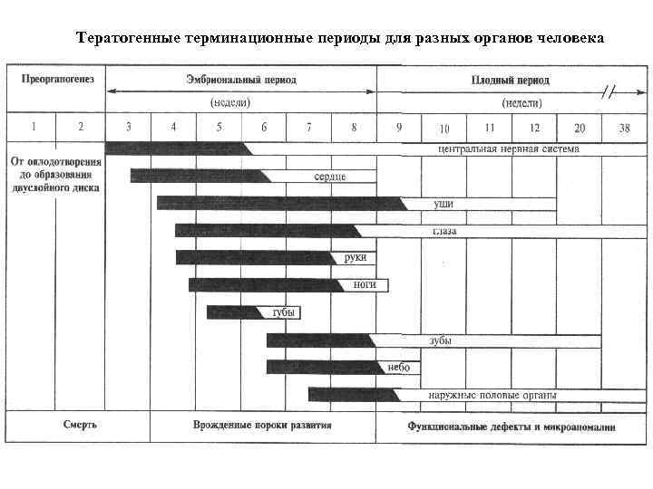 Классификация тератогенных для речевого развития факторов схема таблица