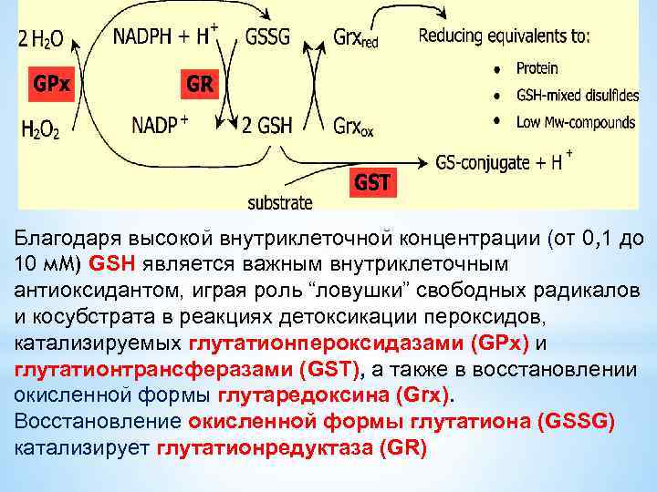 Энергетический обмен глюкозы. Глутатионовая антиоксидантная система. Роль глутатиона в системе антиоксидантной защиты. Глутатион антиоксидант биохимия. Антиоксидантная система глутатион.