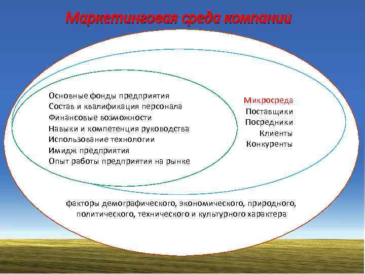 Маркетинговая среда компании Основные фонды предприятия Состав и квалификация персонала Финансовые возможности Навыки и