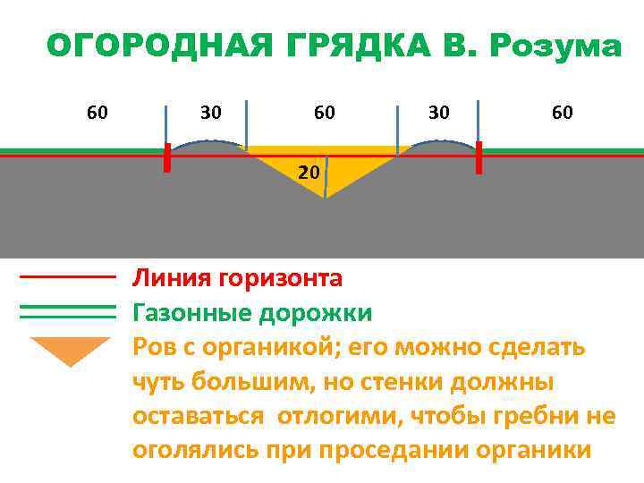 ОГОРОДНАЯ ГРЯДКА В. Розума 60 30 60 20 Линия горизонта Газонные дорожки Ров с