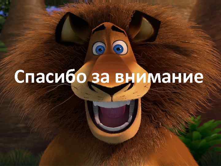 Спасибо за внимание 