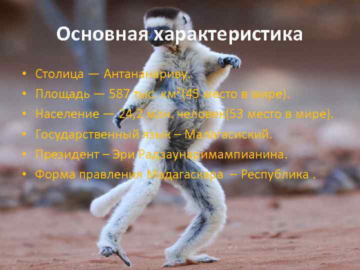 Основная характеристика • • • Столица — Антананариву. Площадь — 587 тыс. км²(45 место