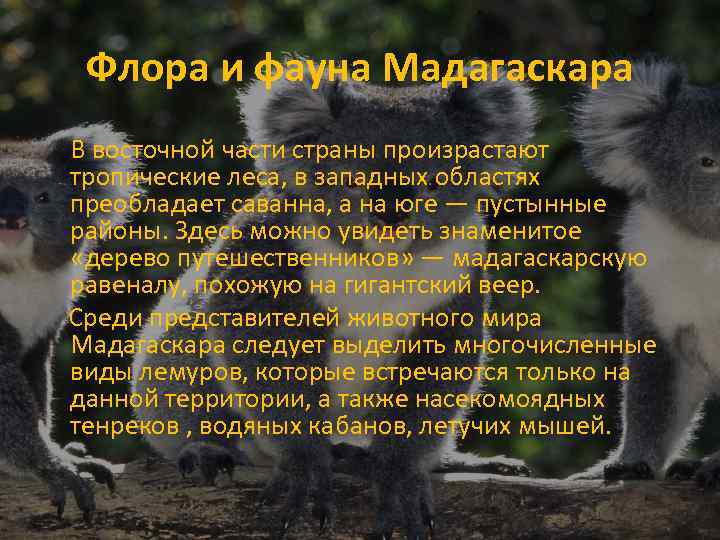 Флора и фауна Мадагаскара В восточной части страны произрастают тропические леса, в западных областях