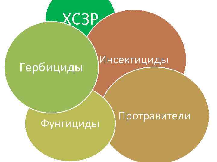 ХСЗР Гербициды Инсектициды Фунгициды Протравители 