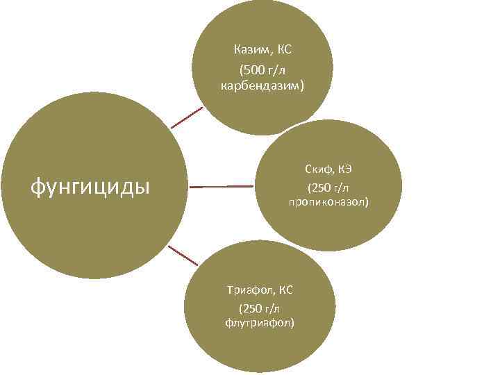 Казим, КС (500 г/л карбендазим) фунгициды Скиф, КЭ (250 г/л пропиконазол) Триафол, КС (250