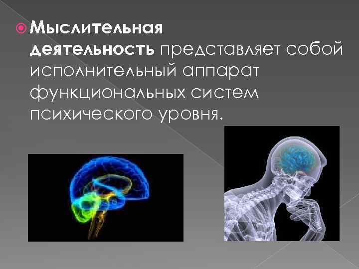  Мыслительная деятельность представляет собой исполнительный аппарат функциональных систем психического уровня. 