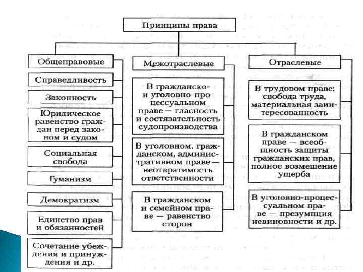 Принципы презумпции законности