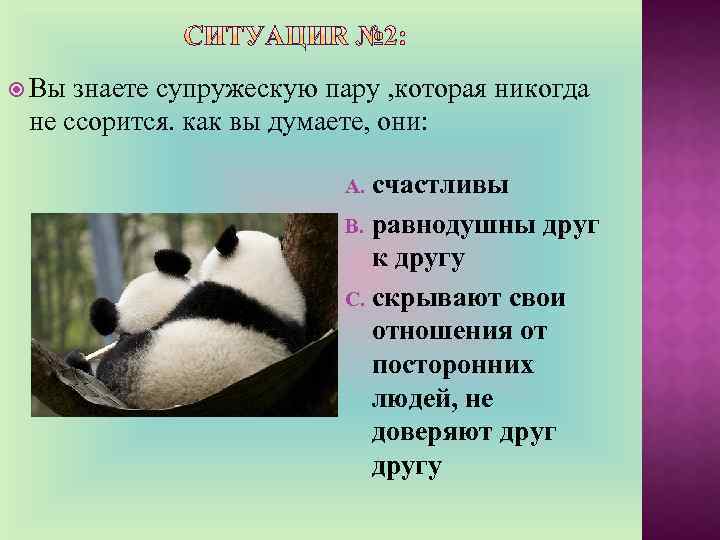  Вы знаете супружескую пару , которая никогда не ссорится. как вы думаете, они: