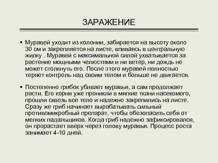 ЗАРАЖЕНИЕ § Муравей уходит из колонии, забирается на высоту около 30 см и закрепляется