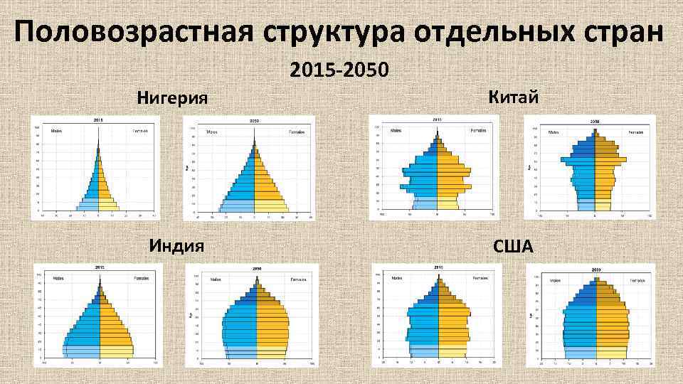 Половозрастная структура отдельных стран 2015 -2050 Нигерия Китай Индия США 