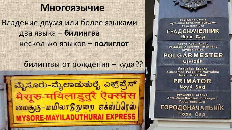 Многоязычие Владение двумя или более языками два языка – билингва несколько языков – полиглот