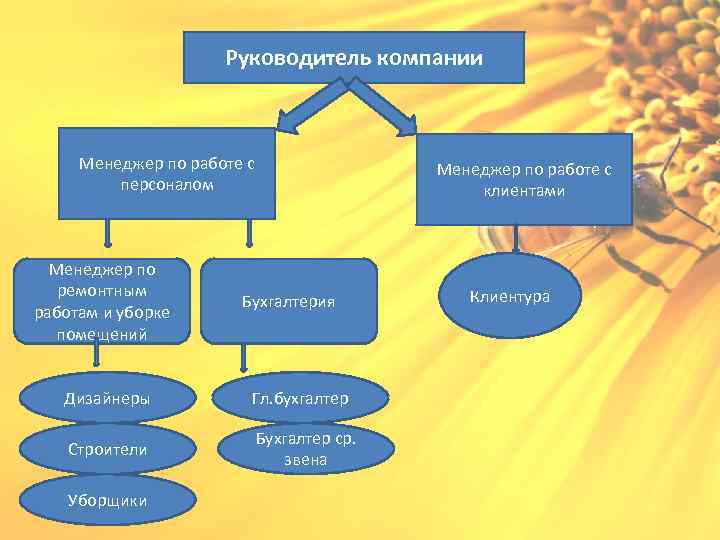 Руководитель компании Менеджер по работе с персоналом Менеджер по ремонтным работам и уборке помещений