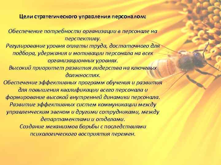 Цели стратегического управления персоналом: Обеспечение потребности организации в персонале на перспективу. Регулирование уровня оплаты