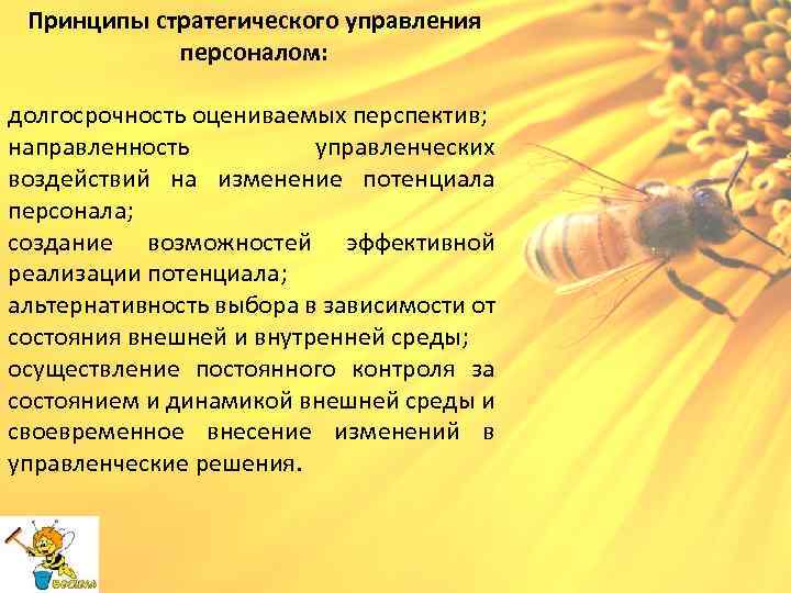 Принципы стратегического управления персоналом: долгосрочность оцениваемых перспектив; направленность управленческих воздействий на изменение потенциала персонала;