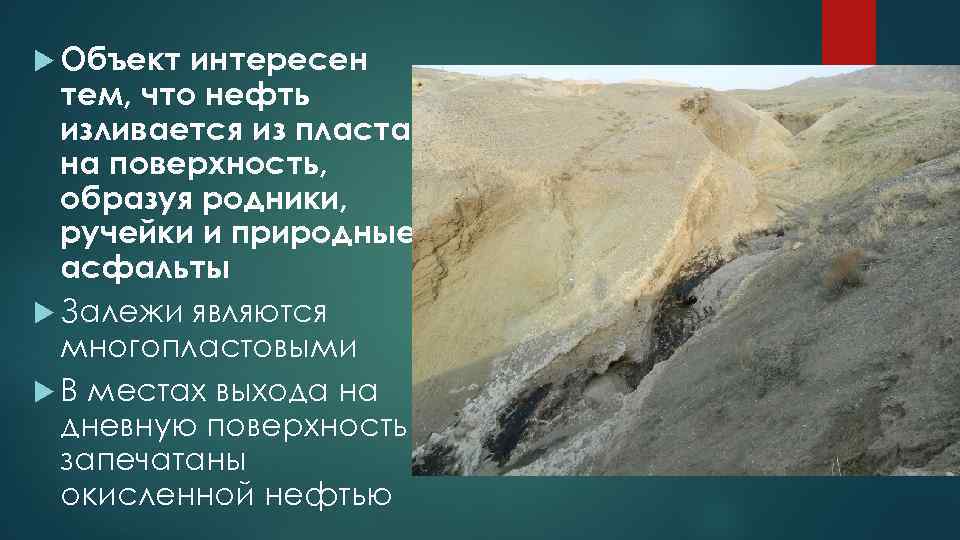  Объект интересен тем, что нефть изливается из пласта на поверхность, образуя родники, ручейки