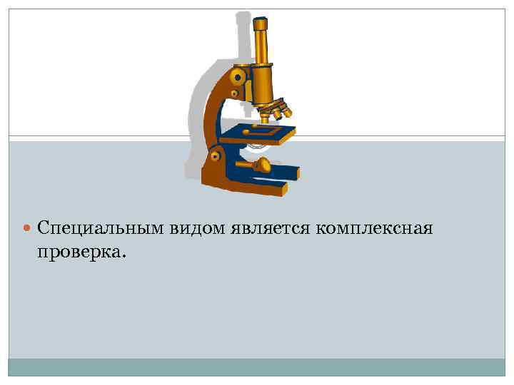  Специальным видом является комплексная проверка. 