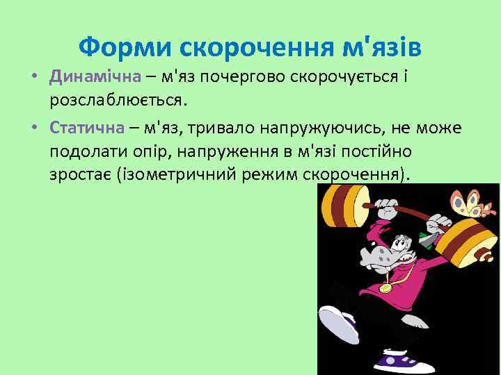 Форми скорочення м'язів • Динамічна – м'яз почергово скорочується і розслаблюється. • Статична –