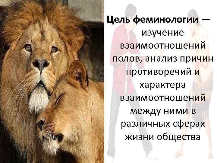 Цель феминологии — изучение взаимоотношений полов, анализ причин противоречий и характера взаимоотношений между ними