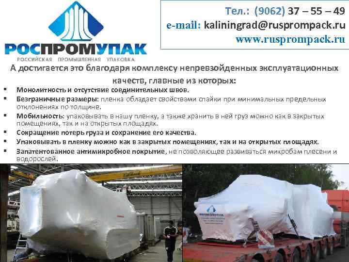 Тел. : (9062) 37 – 55 – 49 e-mail: kaliningrad@rusprompack. ru www. rusprompack. ru