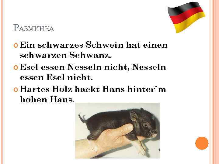 РАЗМИНКА Ein schwarzes Schwein hat einen schwarzen Schwanz. Esel essen Nesseln nicht, Nesseln essen