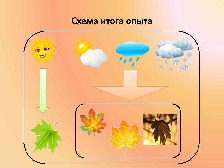 Схема итога опыта 