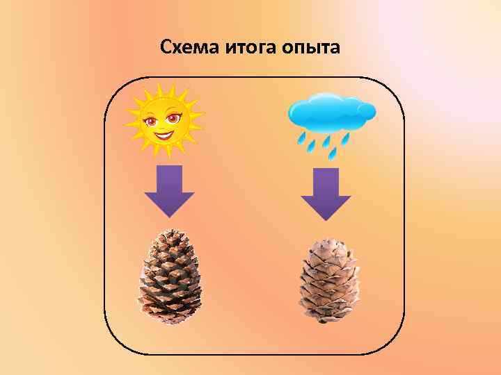 Схема итога опыта 