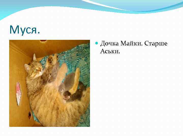 Муся. Дочка Майки. Старше Аськи. 