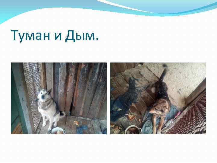 Туман и Дым. 