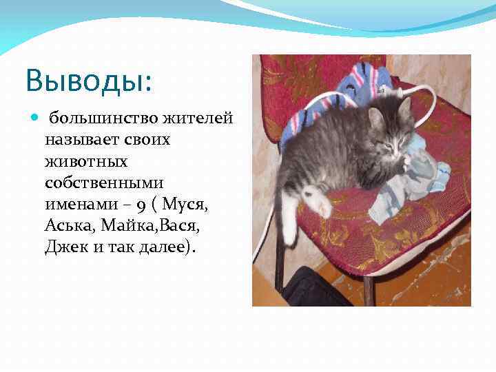 Выводы: большинство жителей называет своих животных собственными именами – 9 ( Муся, Аська, Майка,