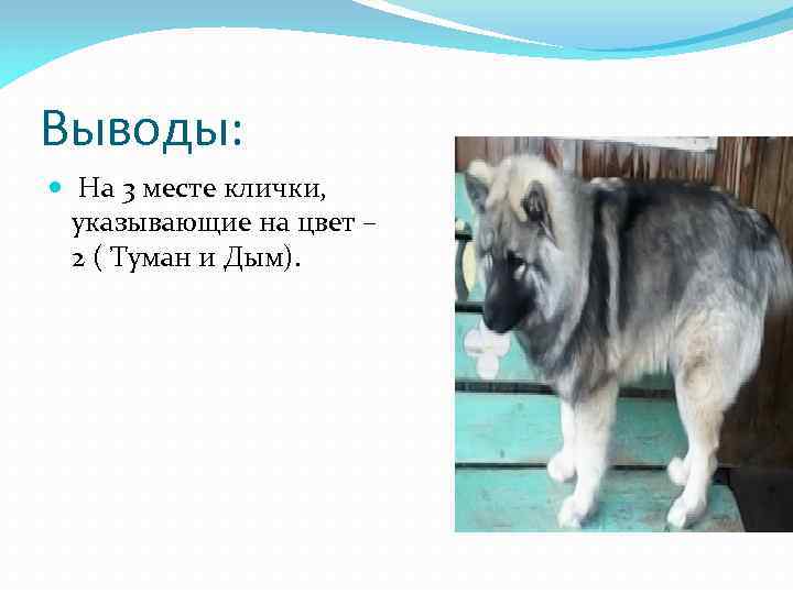 Выводы: На 3 месте клички, указывающие на цвет – 2 ( Туман и Дым).