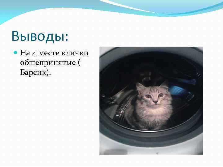 Выводы: На 4 месте клички общепринятые ( Барсик). 
