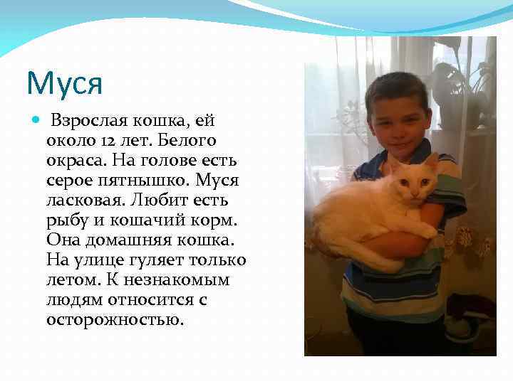 Муся Взрослая кошка, ей около 12 лет. Белого окраса. На голове есть серое пятнышко.