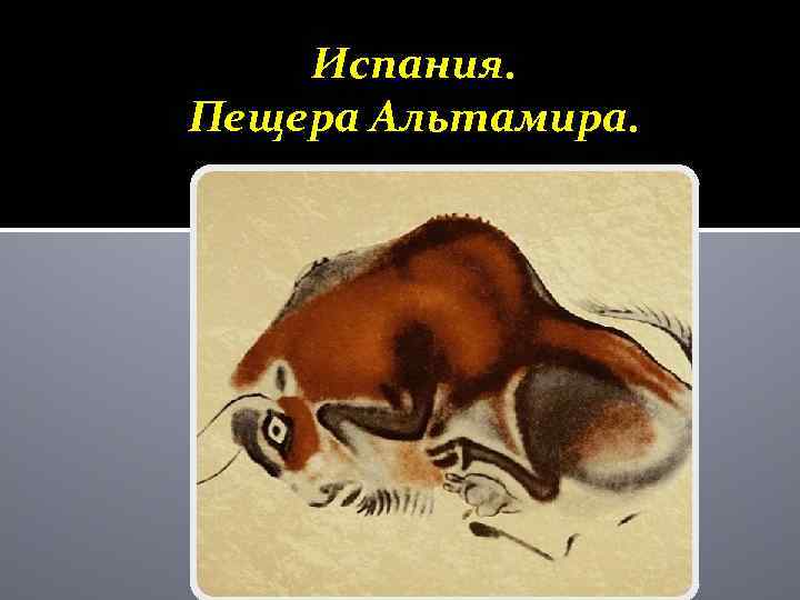 Испания. Пещера Альтамира. 