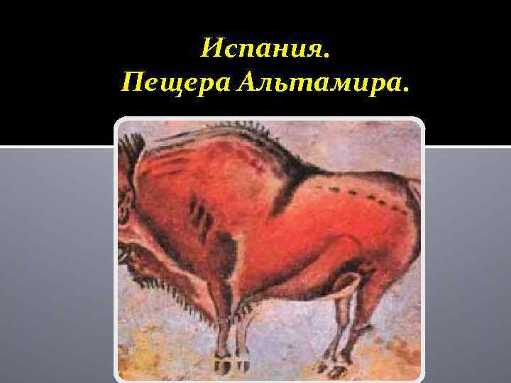 Испания. Пещера Альтамира. 