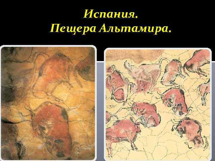 Испания. Пещера Альтамира. 