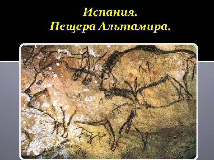 Испания. Пещера Альтамира. 