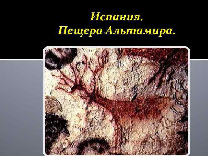 Испания. Пещера Альтамира. 