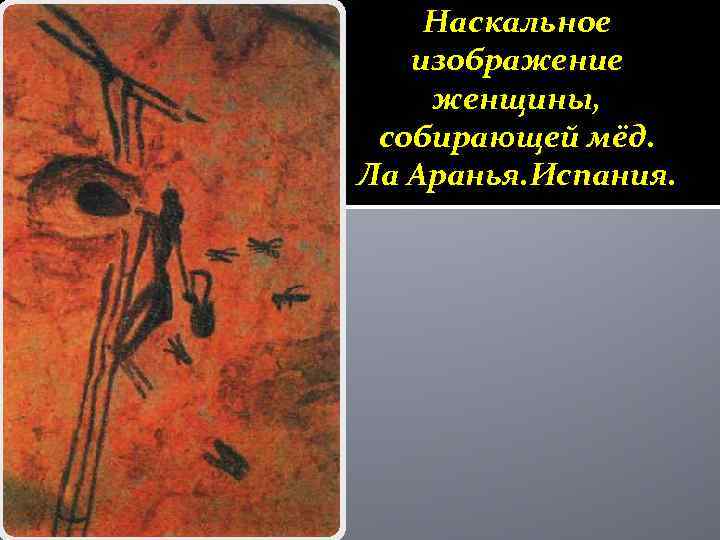 Наскальное изображение женщины, собирающей мёд. Ла Аранья. Испания. 