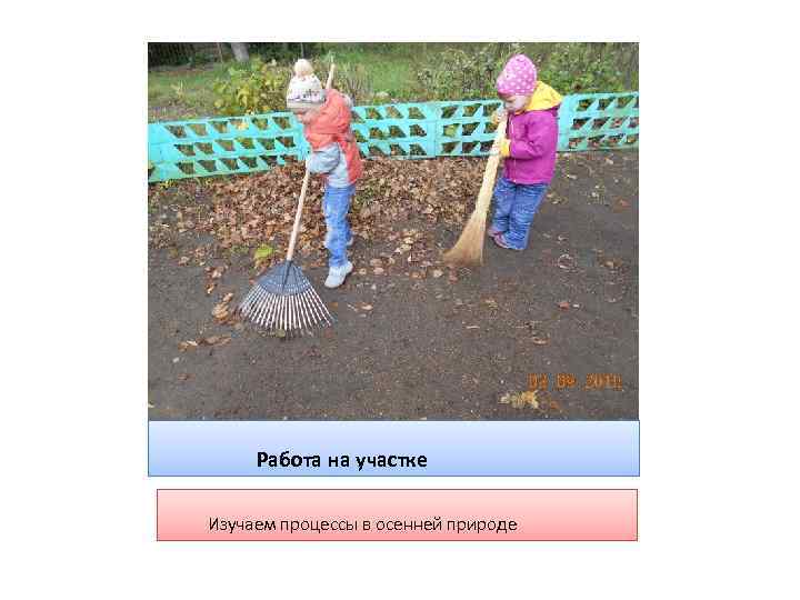 Работа на участке Изучаем процессы в осенней природе 