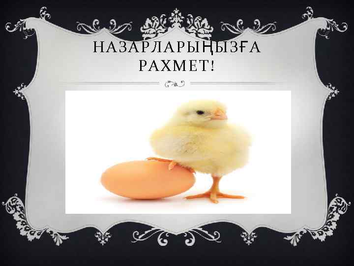 НАЗАРЛАРЫҢЫЗҒА РАХМЕТ! 