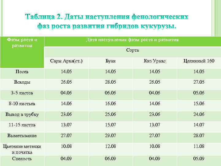 Фазы роста и развития Дата наступления фазы роста и развития Сорта Сары Арка(ст. )