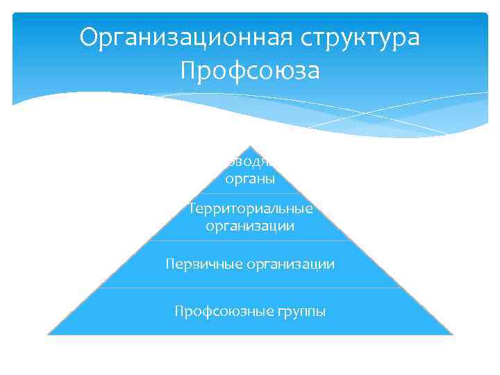 Организационная структура Профсоюза Руководящие органы Территориальные организации Первичные организации Профсоюзные группы 