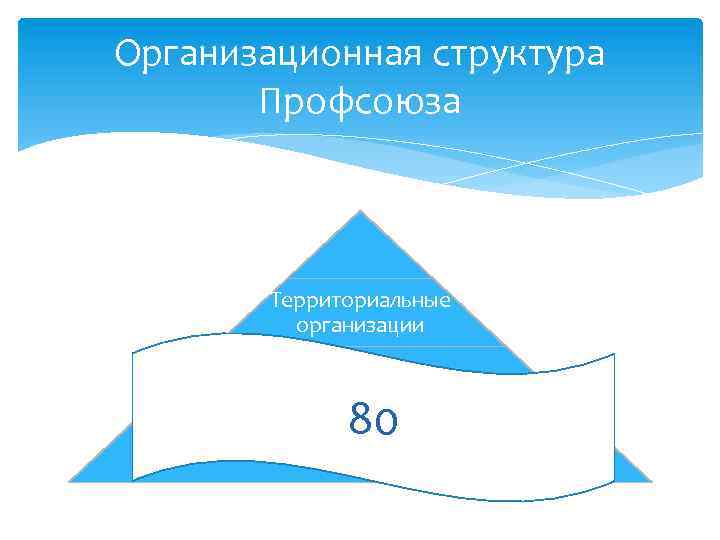 Организационная структура Профсоюза Территориальные организации 80 